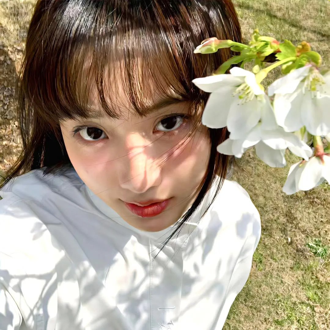 美人记·昭君