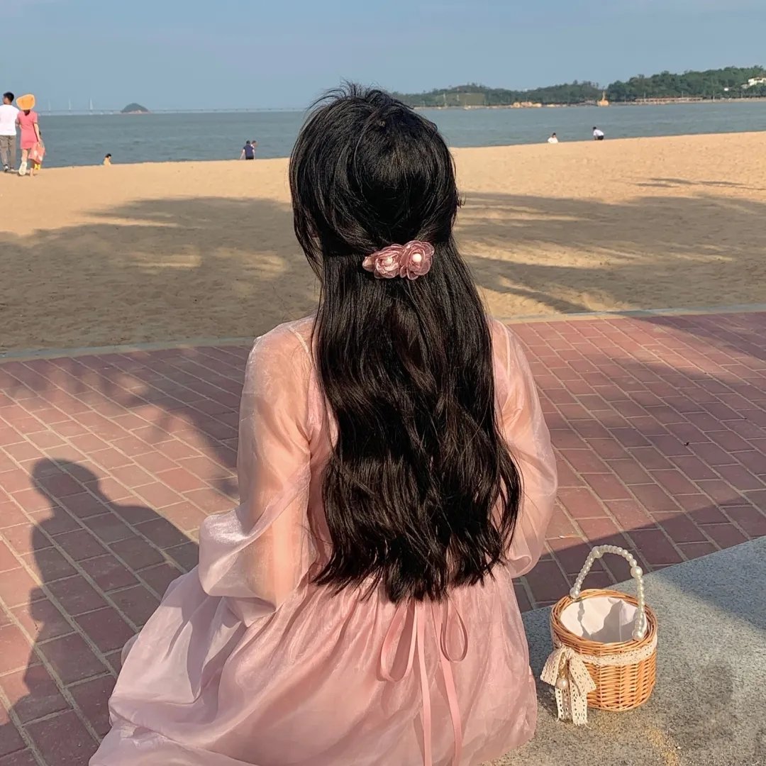 鹈鹕的故事